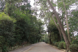 写真（寒川神社その17）
