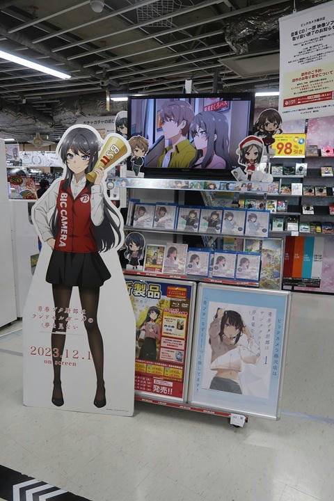 写真（ビックカメラその2）