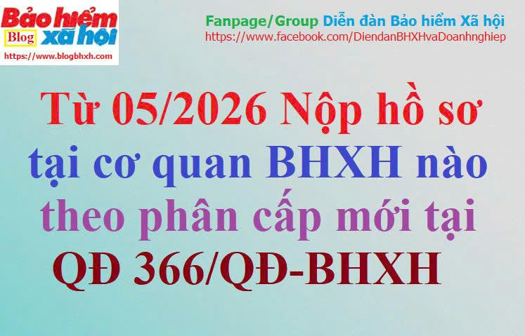 Cap lai so the o dau 2026.jpg