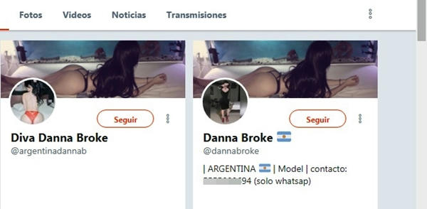  Los perfiles que tenía en Redes 
