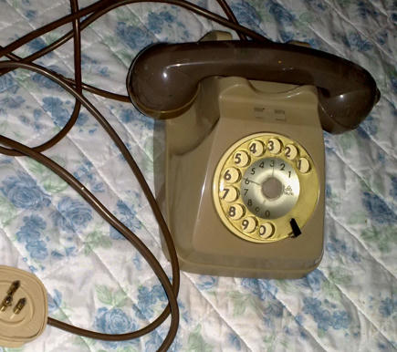 Simple, Free Image and File Hosting at MediaFire