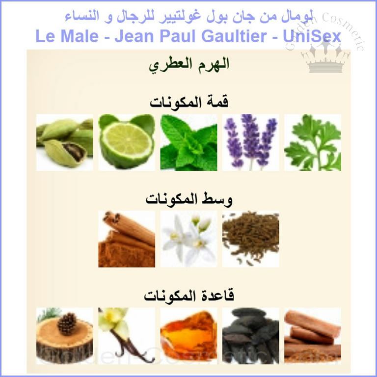 لومال من جان بول غولتيير للرجال و النساء Le Male - Jean Paul Gaultier - UniSex