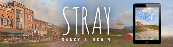 Nancy J. Hedin - Stray NineStar Banner