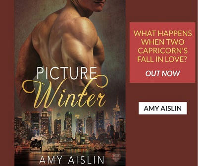 Picture Winter by Amy Aislin Out Now s