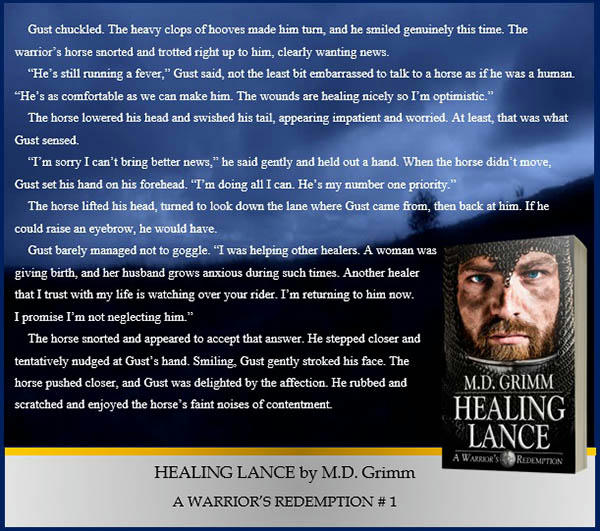 M.D. Grimm - Healing Lance Promo 4