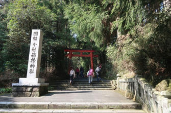 写真（箱根神社その2）
