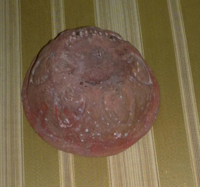 Simple, Free Image and File Hosting at MediaFire