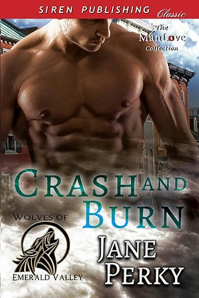 Jane Perky - Crash and Burn Cover