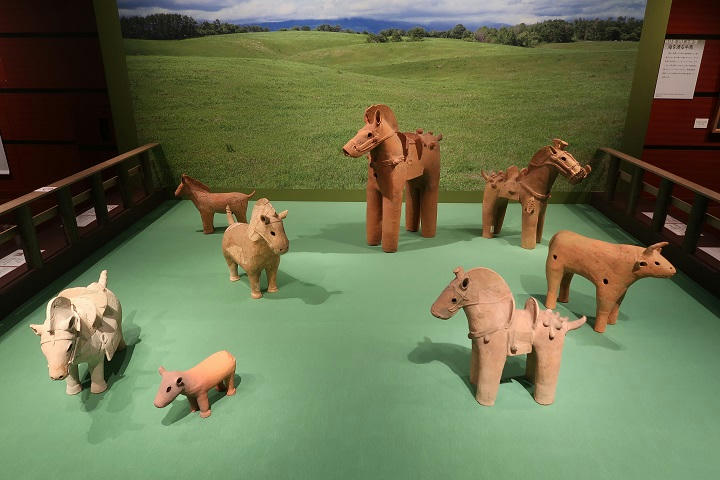 写真（九州国立博物館その11）