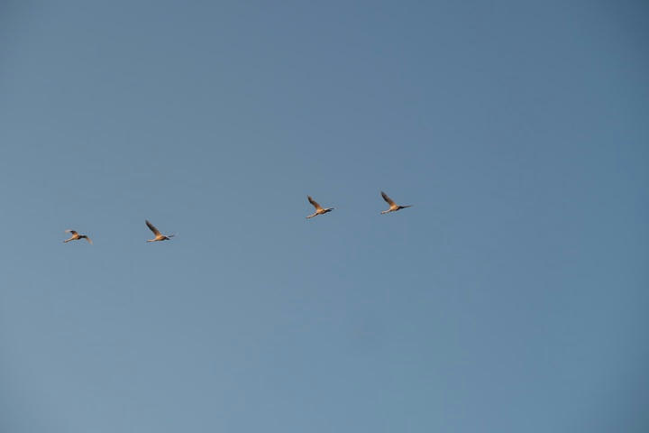 写真（夕方の天空その6）