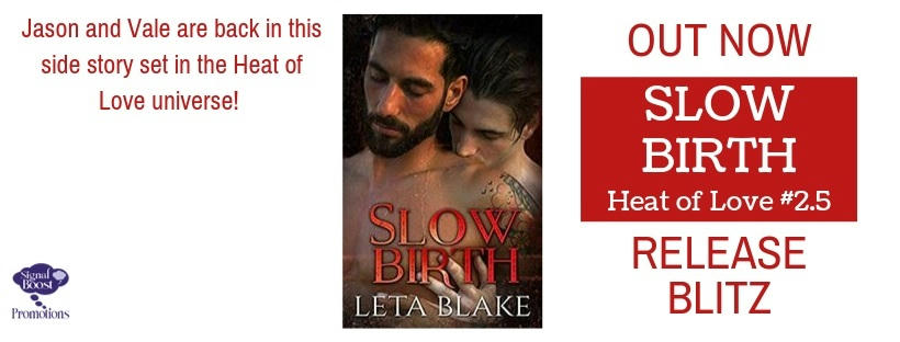 Leta Blake - Slow Birth RBBANNER-101