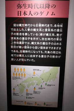 写真（古代DNAその10）