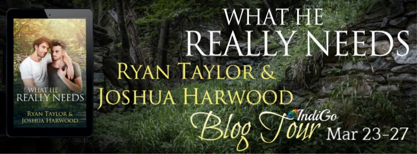 Ryan Taylor & Joshua Harwood - What He Really Needs Tour Banner