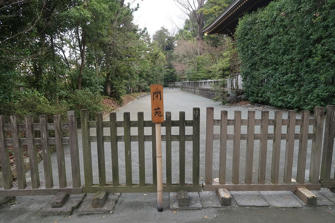 写真（寒川神社その15）