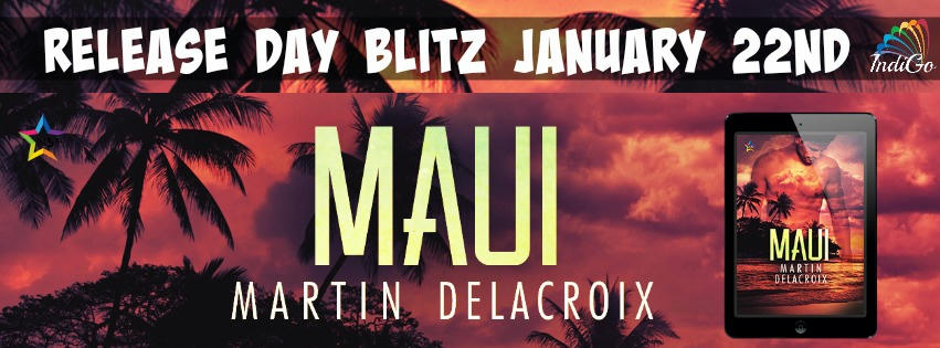 Martin Delacroix - Maui Banner