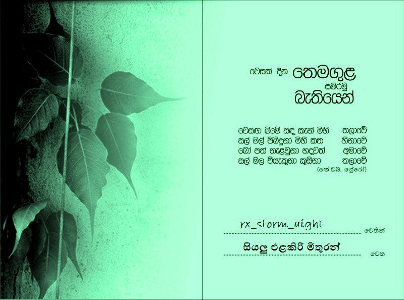 saalk4xn1555mh0fg.jpg