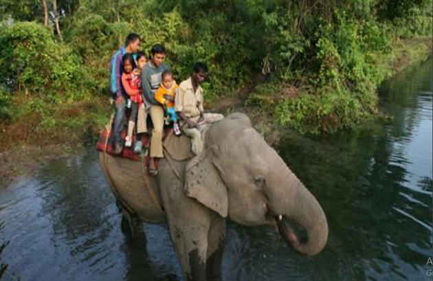 Manas national park essay in assamese image