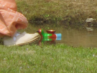 写真（曲水の宴その14拡大）