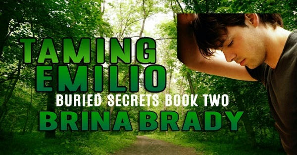 Brina Brady - Taming Emilio Banner