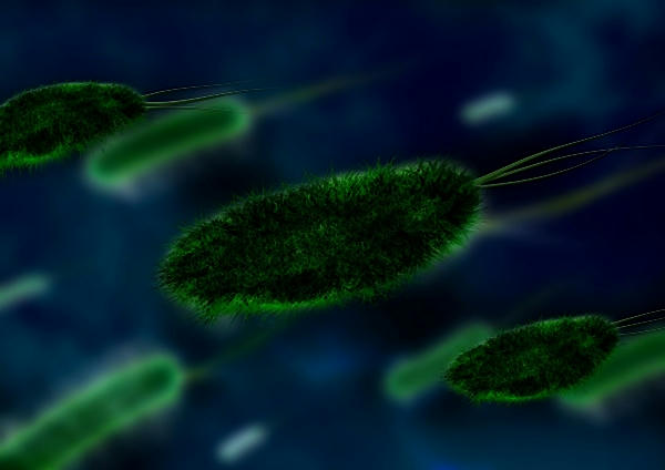 Los sistemas de salud mundiales no estarían preparados para controlar una pandemia global