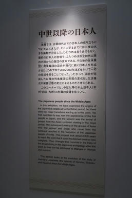 写真（古代DNAその23）