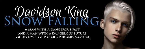 Davidson King - Snow Falling Banner
