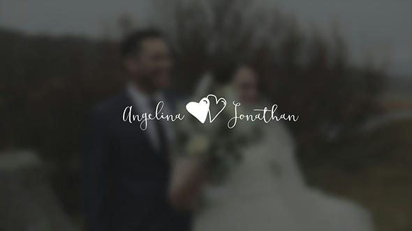 Wedding Titles Pack - 13