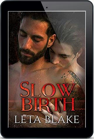 Leta Blake - Slow Birth 3d Cover nek438