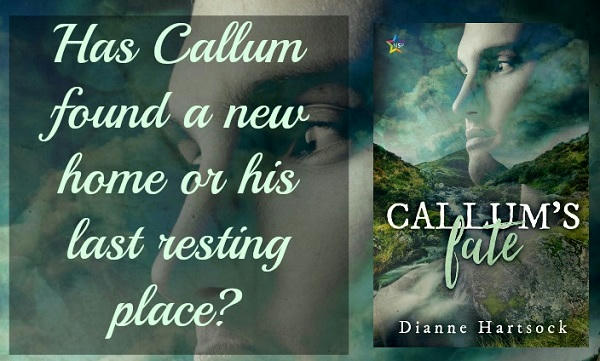 Dianne Hartsock - Callum's Fate Teaser Graphic