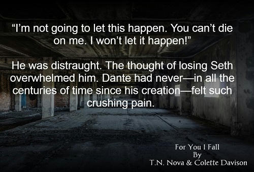 T.N. Nova and Colette Davison - For You I Fall Teaser 2