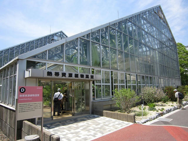 写真（筑波実験植物園その5）