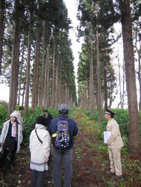 写真（旧網張街道）