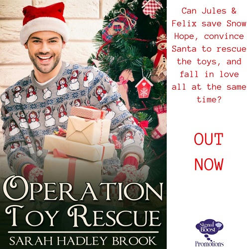 Sarah Hadley Brook - Operation Toy Rescue INSTAPROMO-20