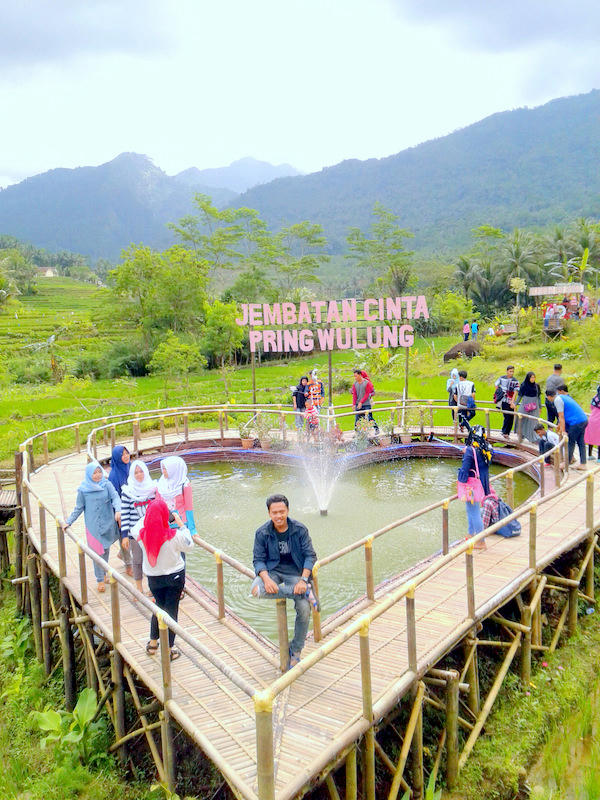 Jembatan Cinta Pring Wulung