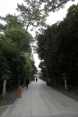 写真（寒川神社その5）