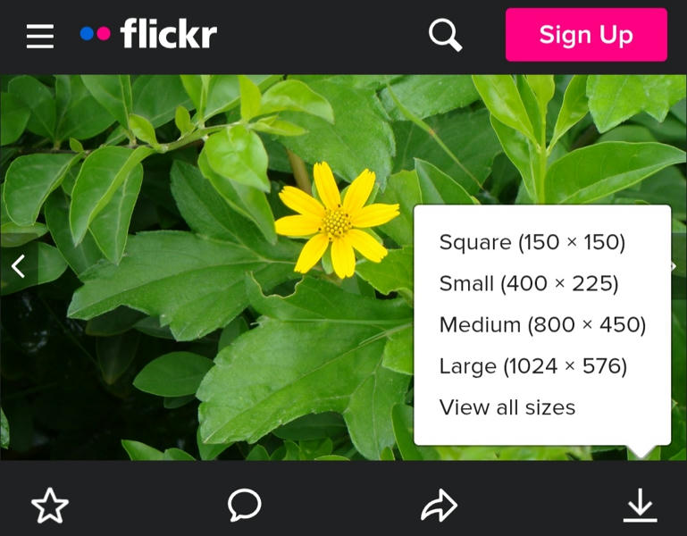 फ्लिकर १