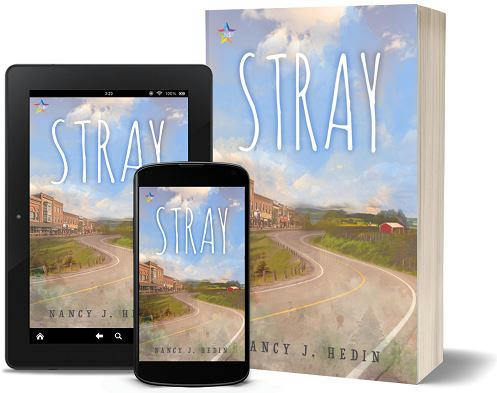 Nancy J. Hedin - Stray 3d Promo