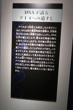 写真（古代DNAその20）