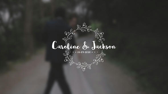 Wedding Titles Pack - 9