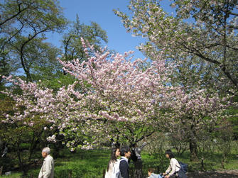 写真（神代植物公園その22）