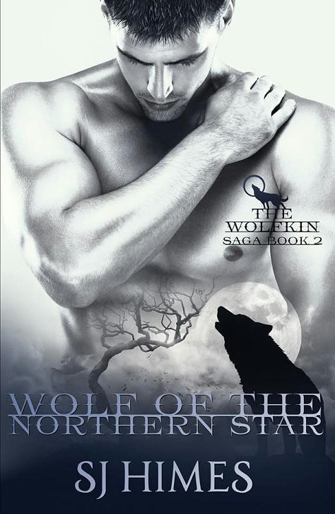 S.J. Himes - Wolf of the Northern Star Cover