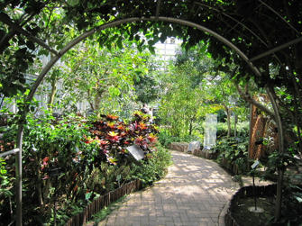 写真（神代植物公園その9）