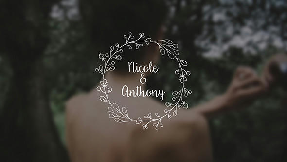 Wedding Titles Pack - 14