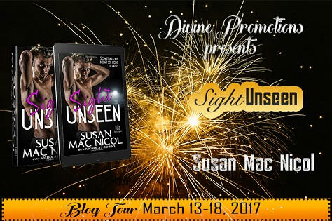 Susan Mac Nicol - Sight Unseen Banner 3