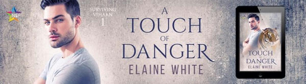 Elaine White - A Touch of Danger NineStar Banner