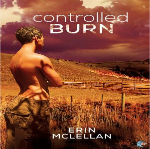 Erin McLellan - Controlled Burn Square