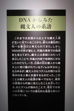 写真（古代DNAその4）