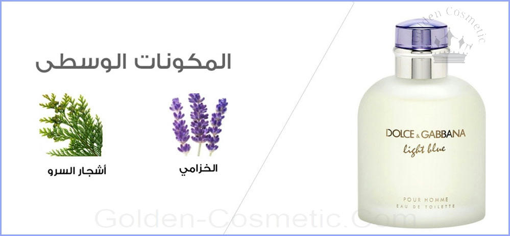 لايت بلو من دوتشي غابانا للرجال Light Blue - Dolce&Gabbana - Man