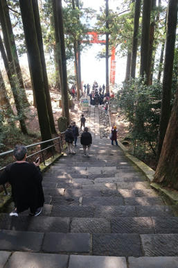 写真（箱根神社その18）