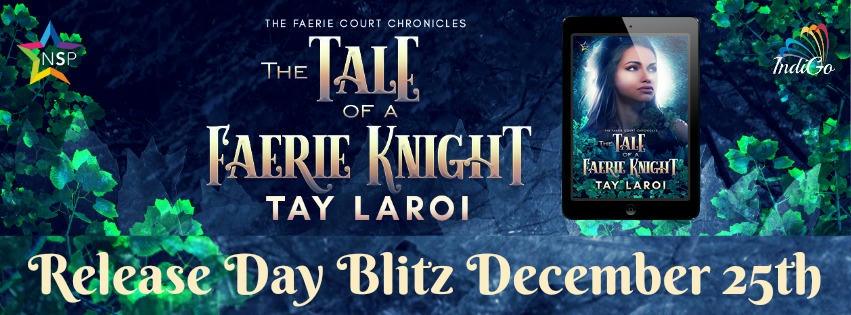 Tay LaRoi - The Tale of a Faerie Knight Banner